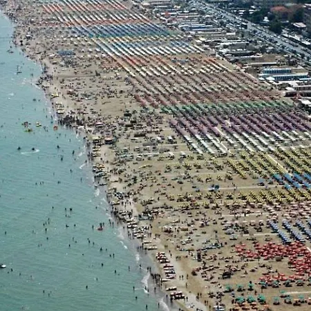 Cristina רימיני